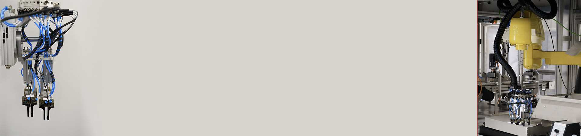 Visionsgeführte Robotik – Die Zukunft der Automatisierung